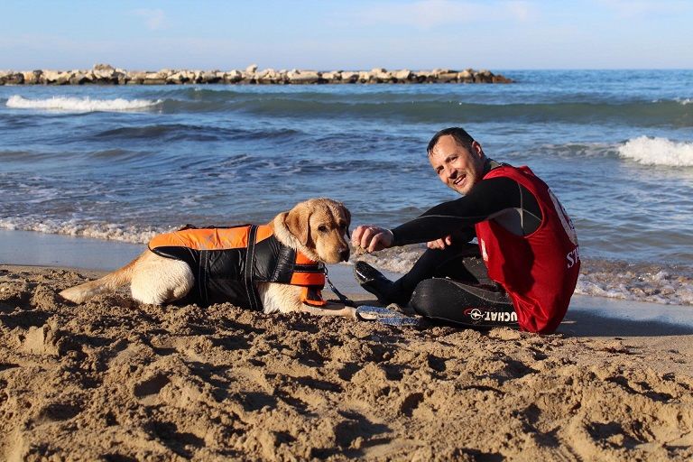 الكلاب المدربة تنقذ من يواجه الغرق في شواطئ إيطاليا