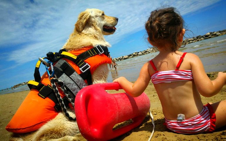 الكلاب المدربة تنقذ من يواجه الغرق في شواطئ إيطاليا