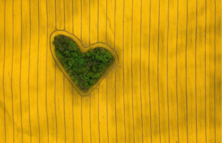 إحدى الصور الفائزة بمهرجان جوائز مدينة 