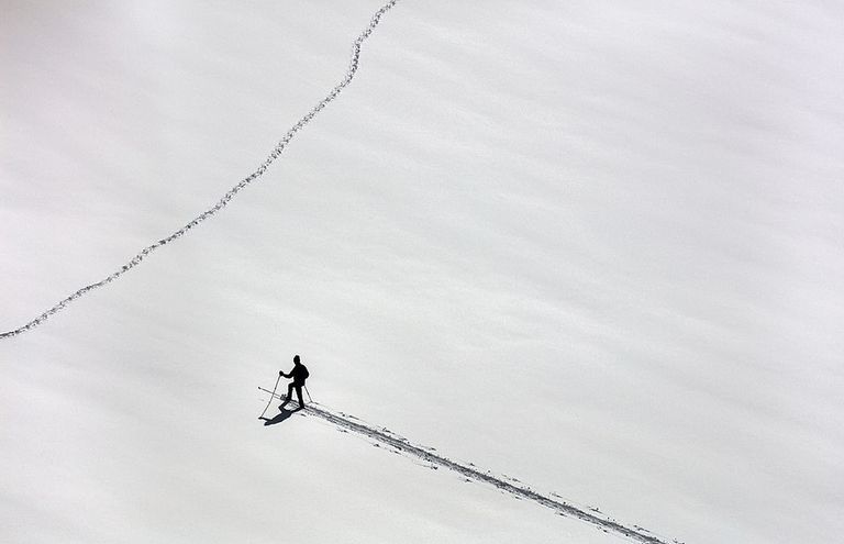 إحدى الصور الفائزة بمهرجان جوائز مدينة 