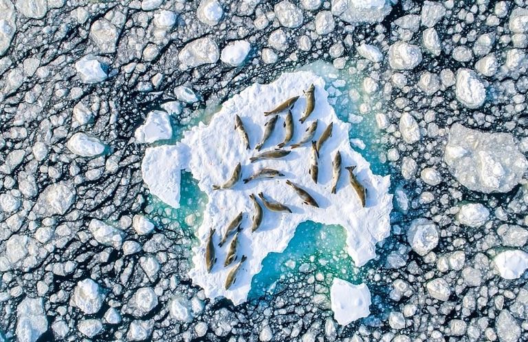 إحدى الصور الفائزة بمهرجان جوائز مدينة 