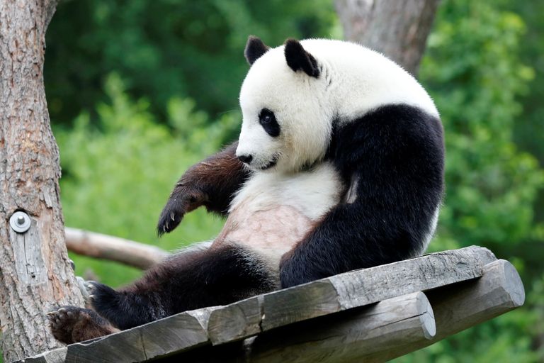 "منج منج" تركت شريكها يستمتع بتورتة عيد ميلاده بمفرده