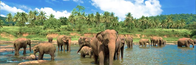 قائمة أجمل جزر حول العالم