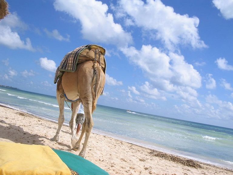 جزيرة جربة التونسية