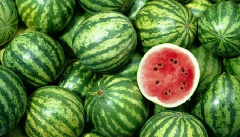 الصين تتصدر العالم في إنتاج واستهلاك البطيخ