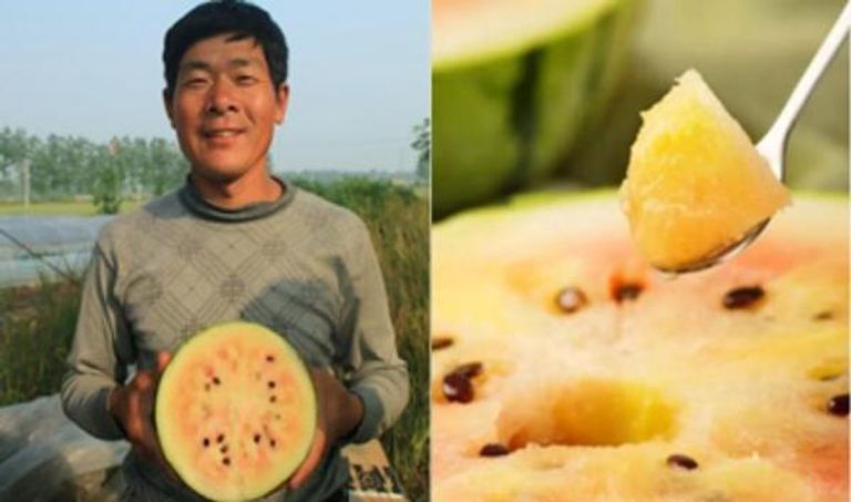 الصين تتصدر العالم في إنتاج واستهلاك البطيخ