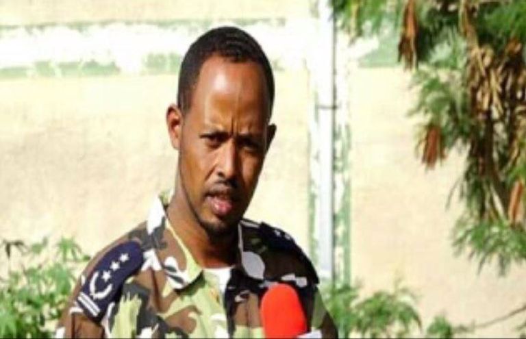 جانب من قطع السلاح المضبوطة