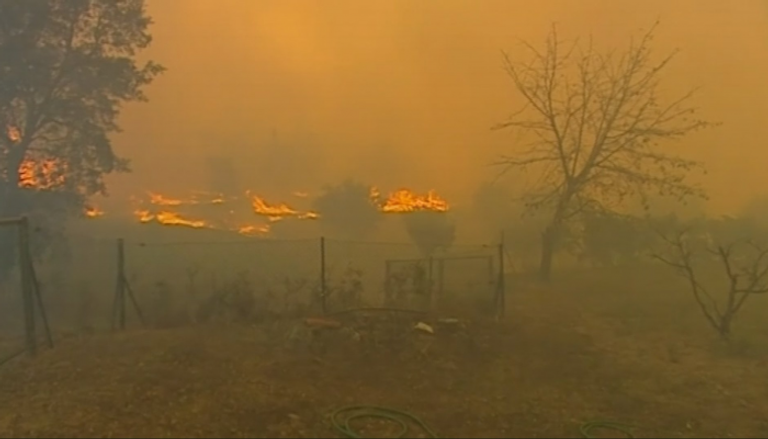 الحرائق اشتعلت في 3 قرى جبلية غاباتها كثيفة في كاستيلو برانكو