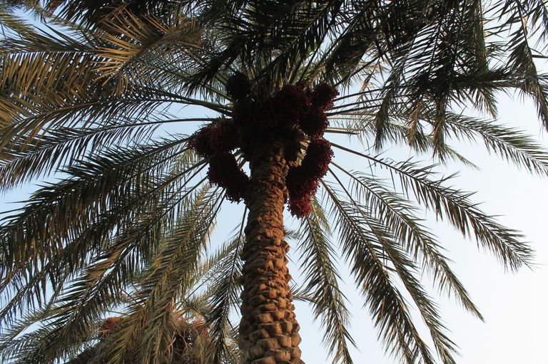 مقر وكالة الإمارات للفضاء