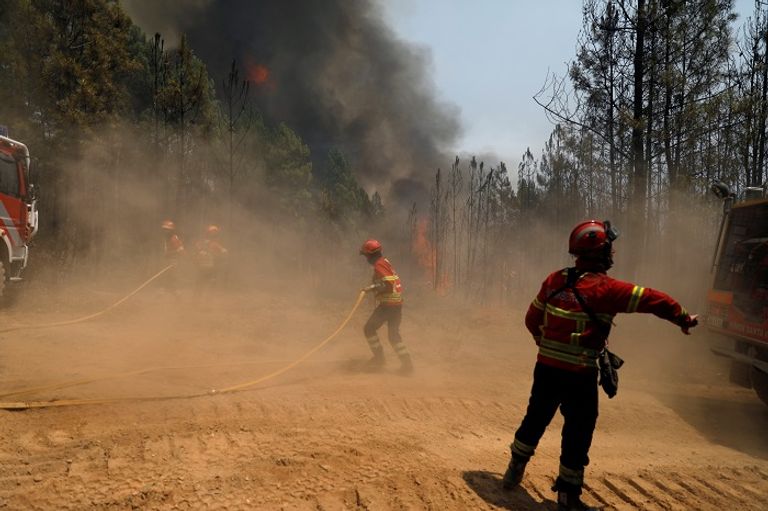 1700 رجل إطفاء شاركوا في مكافحة الحرائق