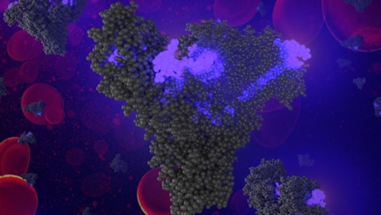 "حصان طروادة" عقار جديد يدمر الخلايا السرطانية