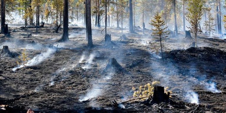 الجفاف يهدد الثروة الحيوانية والزراعية لفرنسا