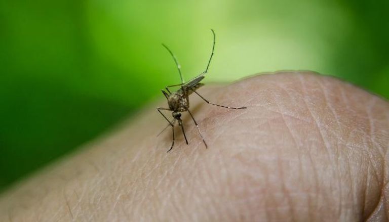 الملاريا المقاومة للعقاقير تنتشر في جنوب شرق آسيا