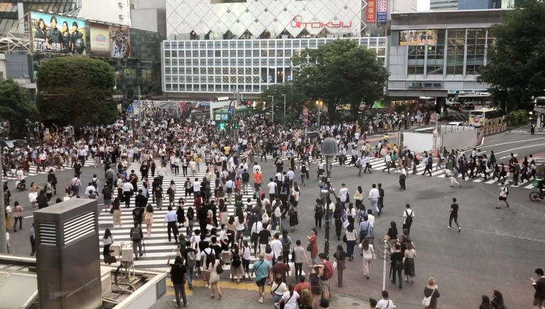 إشارة شيبويا المرورية.. الأكثر ازدحاما في العالم