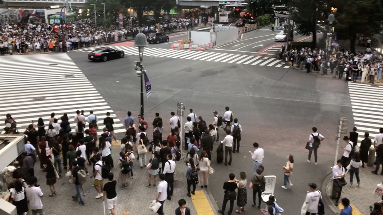 إشارة شيبويا المرورية.. الأكثر ازدحاما في العالم