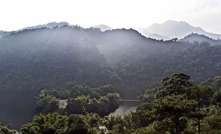 الصين تنشئ أكثر من 10 آلاف محمية طبيعية