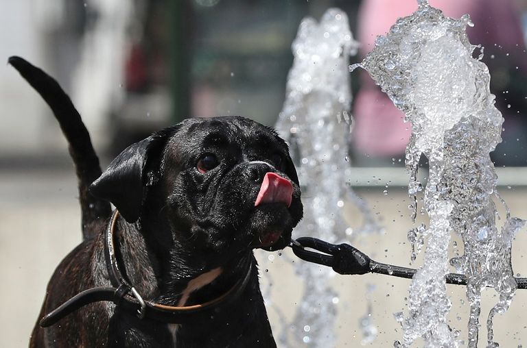 بلجيكا تطلق "الإنذار الأحمر" للمرة الأولى - أرشيفية