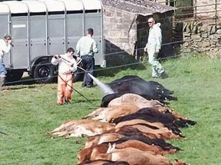 الرئيس الفرنسي إيمانويل ماكرون ورئيس وزراء كندا جاستن ترودو