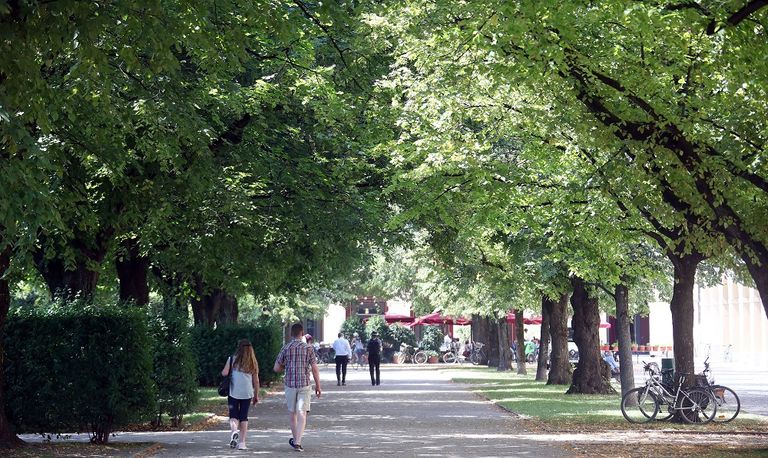 درجات الحرارة تجاوزت الـ40 في ألمانيا 