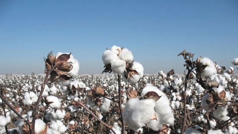 عامل في مصنع للغزل والنسيج - أرشيف