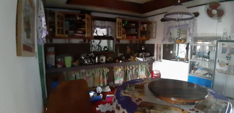 الزلزال يخلف أضرارا بالغة ويجبر الآلاف على الهروب من منازلهم