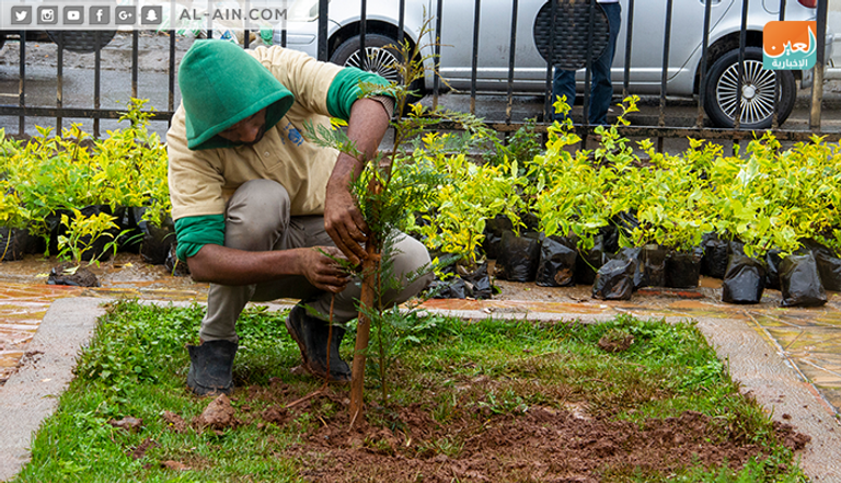 رئيس الوزراء الإثيوبي آبي أحمد - أرشيفية