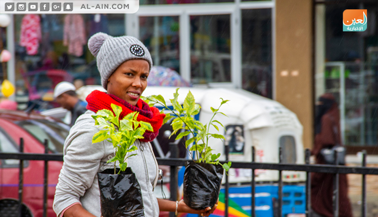 رئيس الوزراء الإثيوبي آبي أحمد - أرشيفية