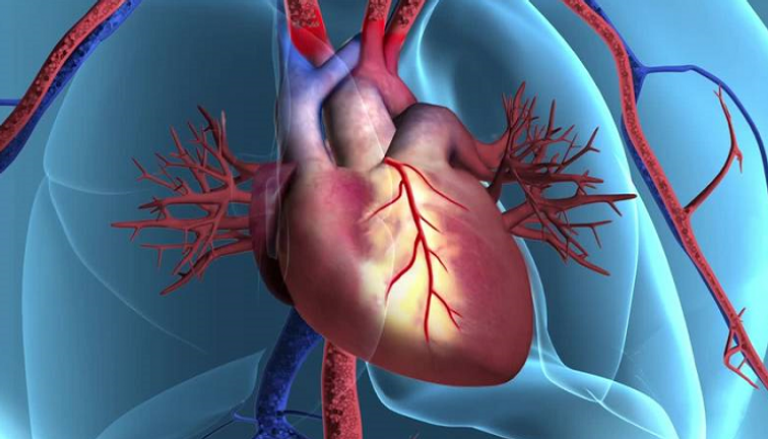 أمريكا توافق على تكنولوجيا صينية لتشخيص أمراض القلب التاجي