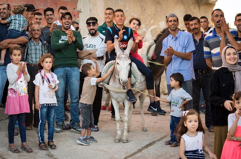 أنثى الحمار الفائزة بمسابقة جمال للحمير في وسط المغرب