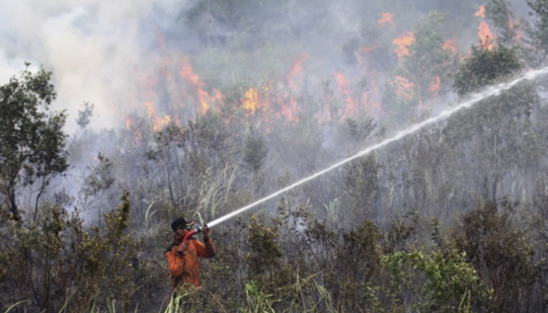 حرائق غابات في إندونيسيا - أرشيفية