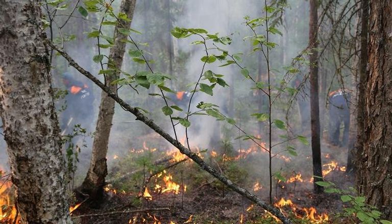 آلاف المتطوعين يكافحون حرائق الغابات شرقي روسيا - أرشيفية