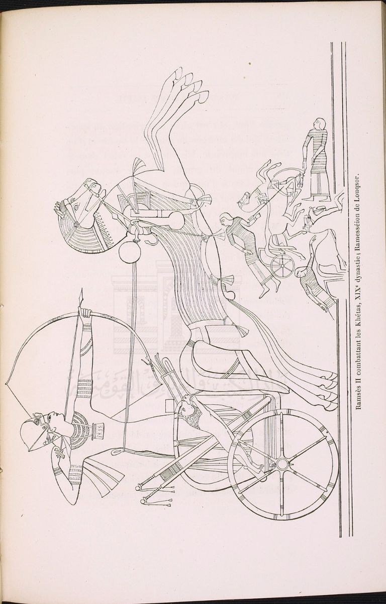 الفنان الراحل حسن كامي في مكتبته 