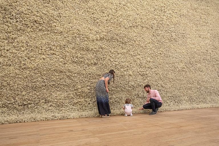 معرض "الحياة الطبيعية" للفنان الدنماركي أولافور إلياسون في لندن
