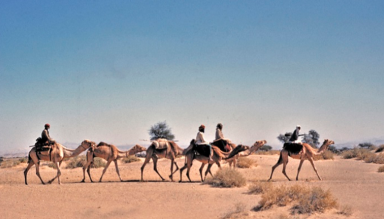 الأرشيف الوطني الإماراتي يوثق ذكريات الحجاج ورحلاتهم قديماً