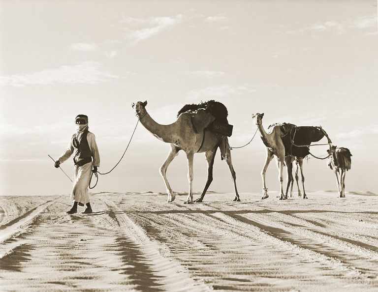 الأرشيف الوطني الإماراتي يوثق ذكريات الحجاج ورحلاتهم قديماً