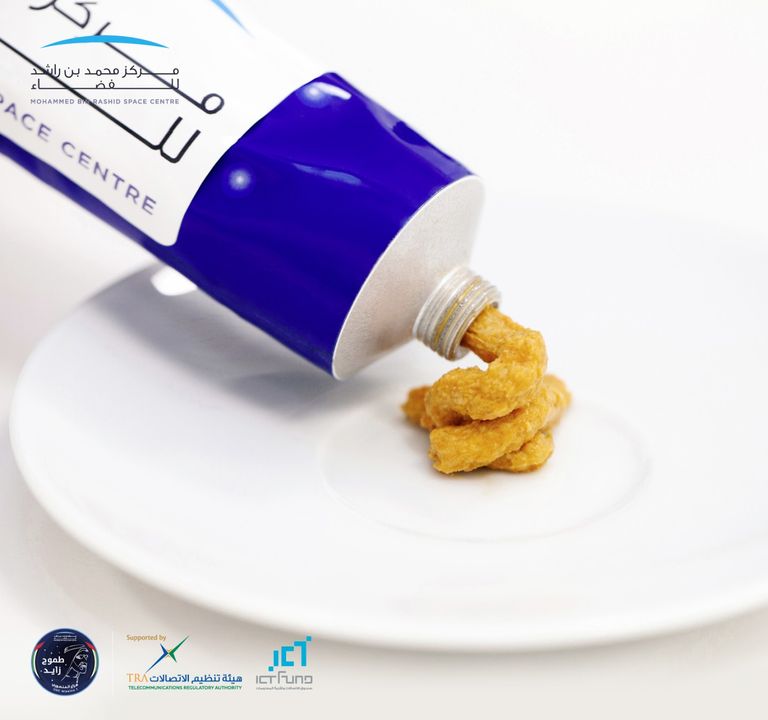 رائدا الفضاء الإماراتيان هزاع المنصوري وسلطان النيادي