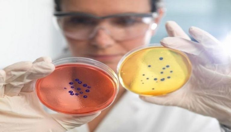 بكتيريا قاتلة تثير الذعر في مستشفيات أوروبا