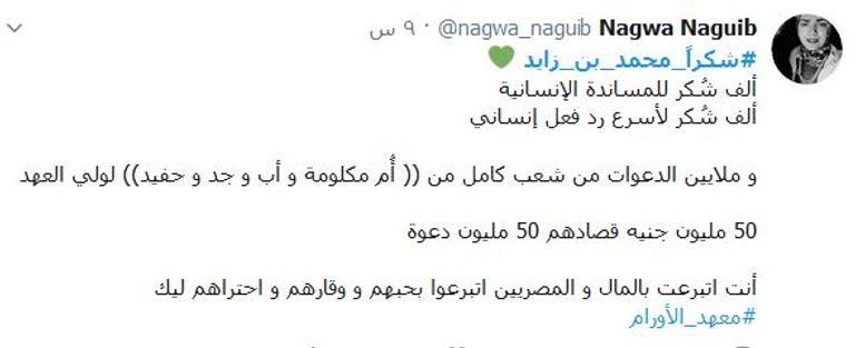 الشيخ محمد بن زايد آل نهيان - أرشيفية