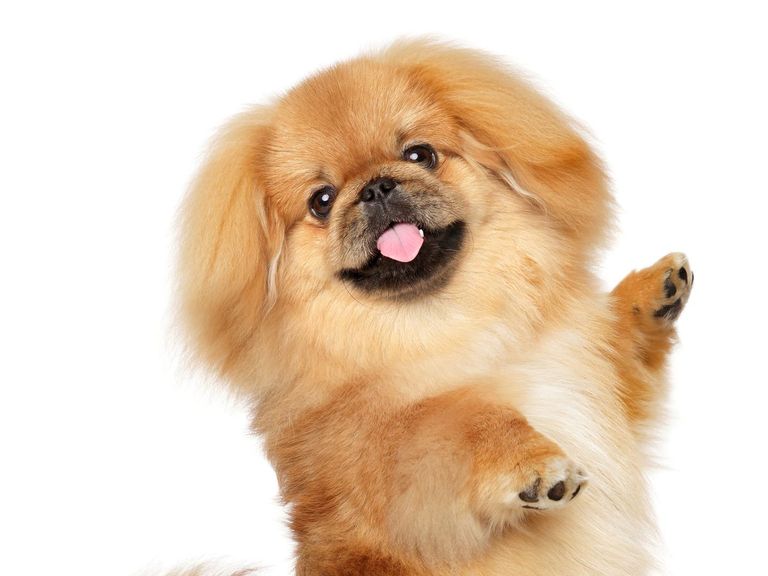 خطوات بسيطة تتيح تقوية المخ