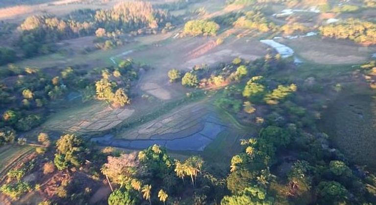 الطالبة البريطانية ألانا كوتلاند