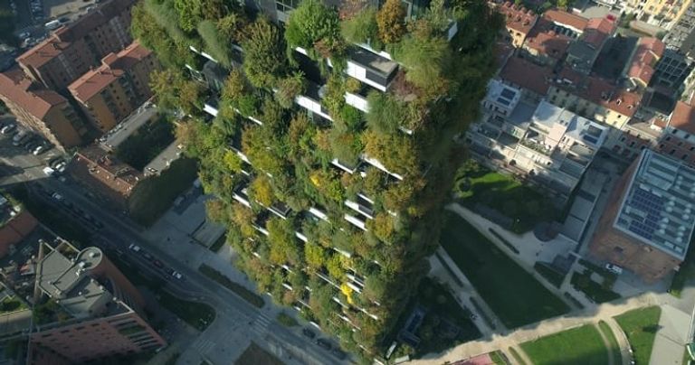 مصر تخطط لبناء أول غابة عمودية في أفريقيا