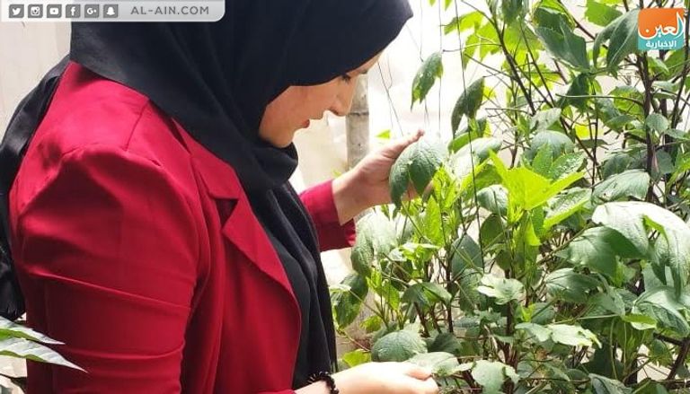 المهندسة الزراعية الفلسطينية إرادة الزعانين