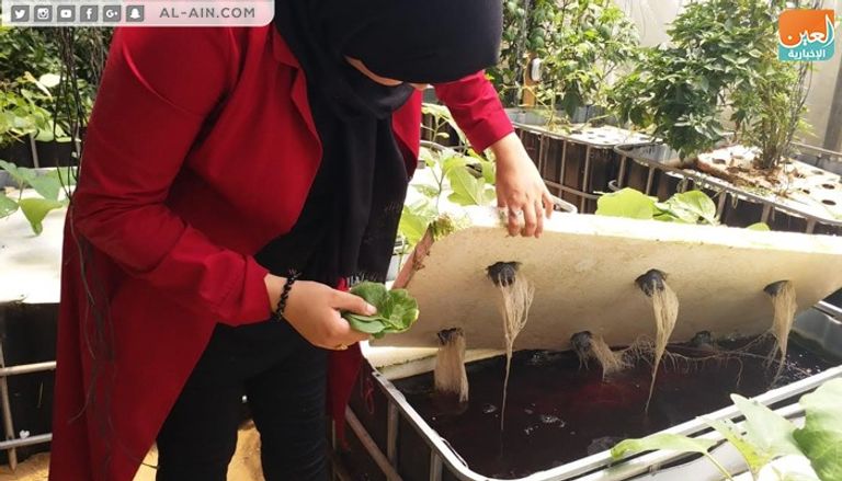 المهندسة الزراعية الفلسطينية إرادة الزعانين