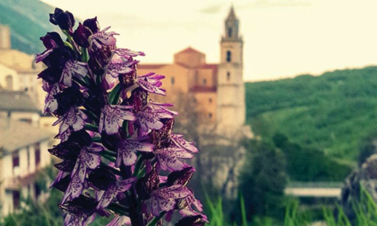 قرية بالينا الإيطالية