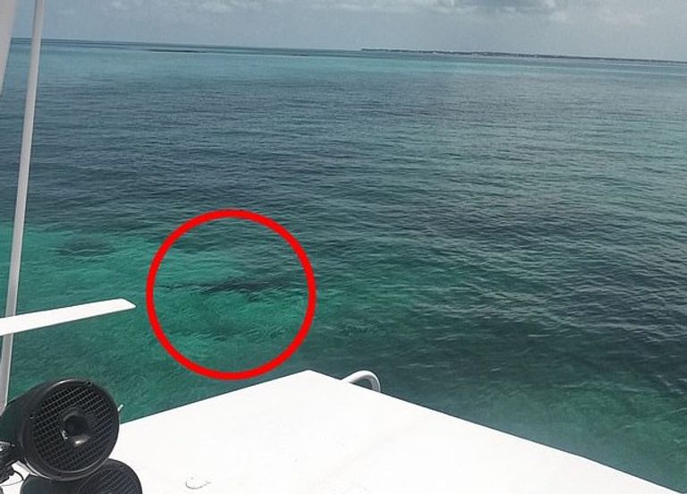 جوردان ليندسي