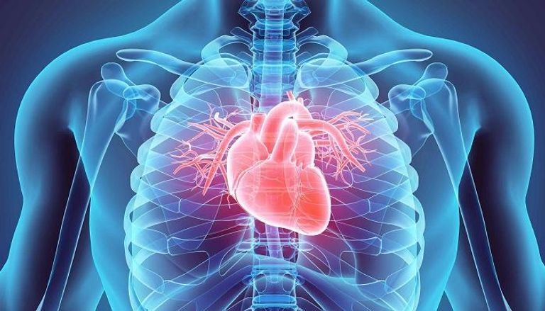 علاج خلايا القلب التالفة بالخلايا الجذعية - أرشيفية