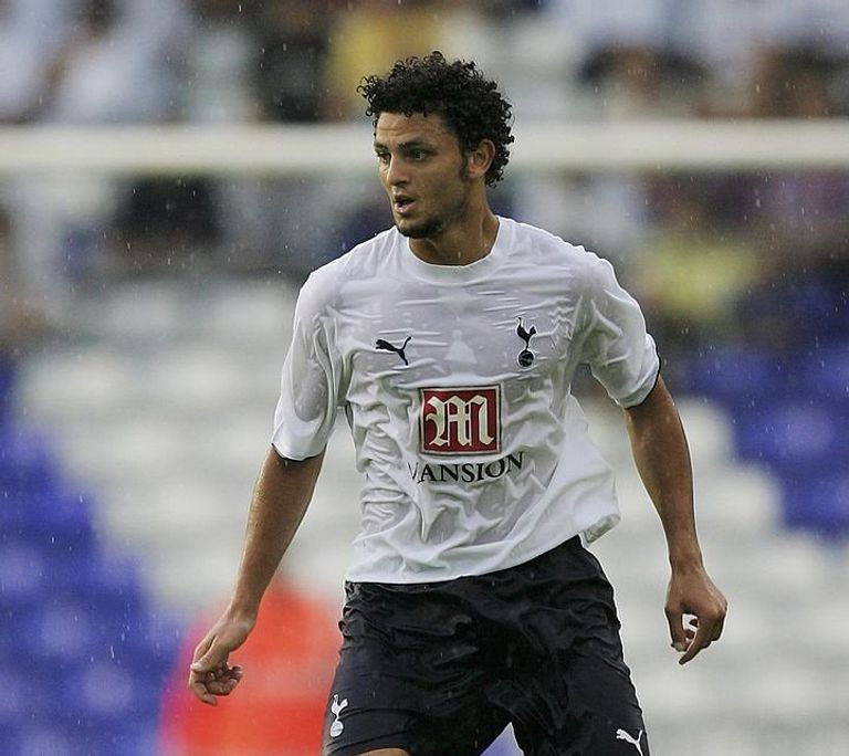 محمود حسن تريزيجيه