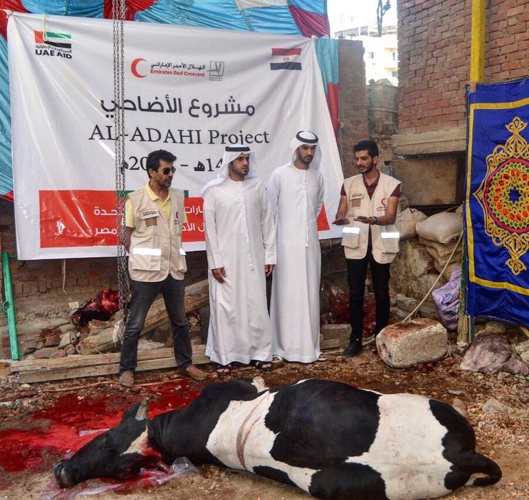 جانب من تدابير المشروع الإماراتي لتوزيع أضاحي العيد 