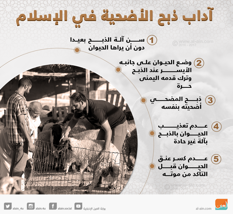 الأسرة المضحّية فرّت هاربة من أمام العجل