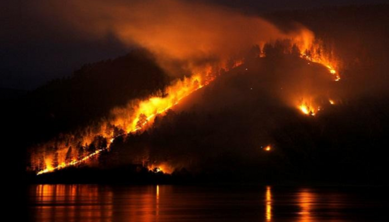 الحرائق دمرت 13.4 مليون هكتار من الغابات منذ بداية العام